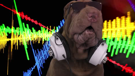 shar pei dog puppy wearing headphones with white background