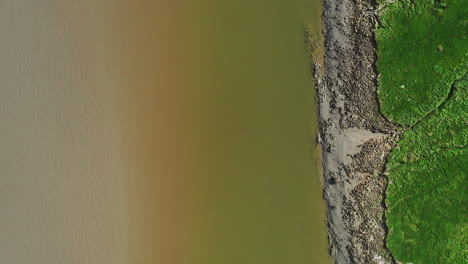 aerial top down view moving along the shore line at low tide in the english countryside, bright sunny day