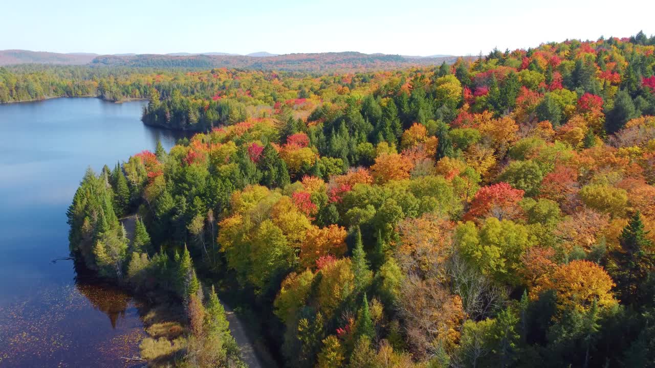 vista aérea de un lago rodeado de árboles en el bosque de colores de otoño