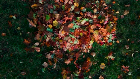 Harsh-wind-ripping-through-a-pile-of-leaves