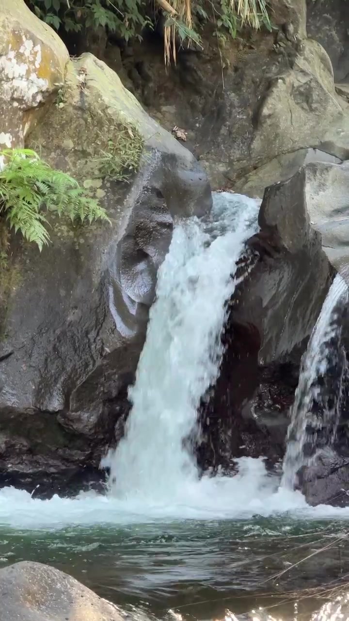Air Terjun Kecil Mengalir di Atas Bebatuan Gelap di Hutan Tropis