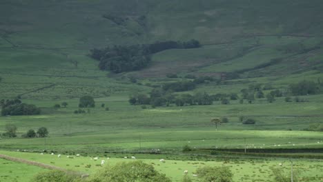 Cloud-shadows-moving-rapidly-over-English-countryside-valley-scene-on-windy-bright-day-with-sheep-and-farmland