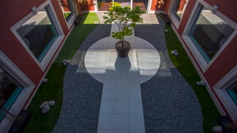 Time-lapse-in-courtyard-with-light-moving-around-tree-in-the-centre