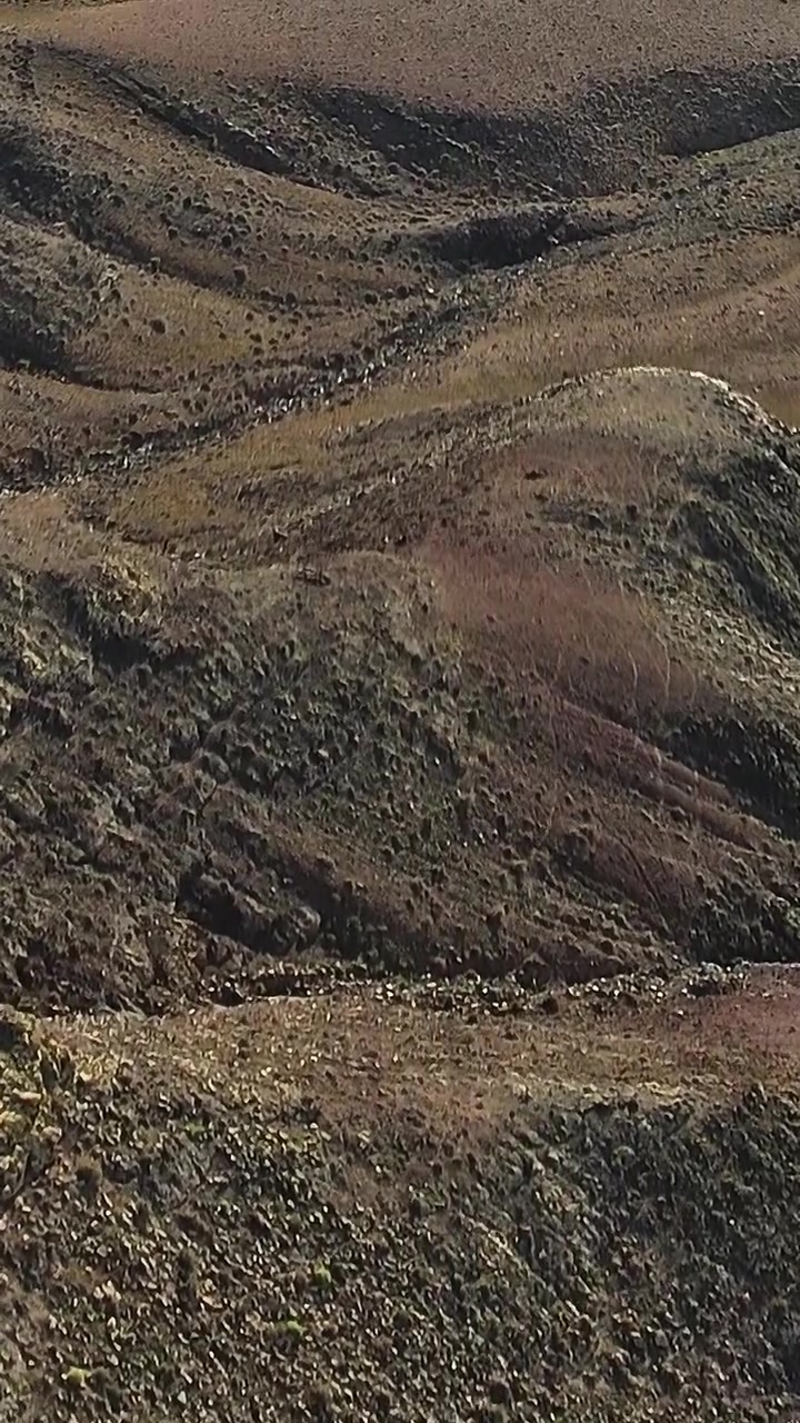 Veduta aerea di Fuerteventura che mostra il paesaggio e il terreno.