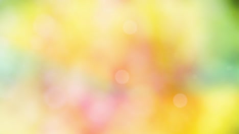 Abstract autumn background with bokeh