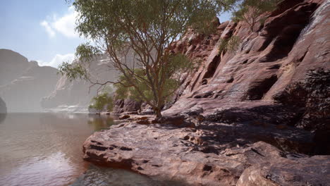 shining rays of the sun reflected in the cold water of the colorado river