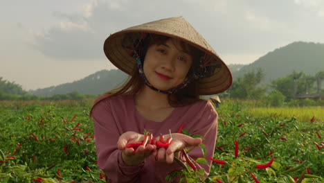 joven agricultor asiático con sombrero de arroz de bambú ofreciendo pimienta picante roja frente a la cámara mientras trabaja en la plantación de la granja al aire libre, retrato en cámara lenta