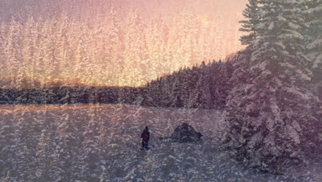 animation of person in forest covered in snow during winter