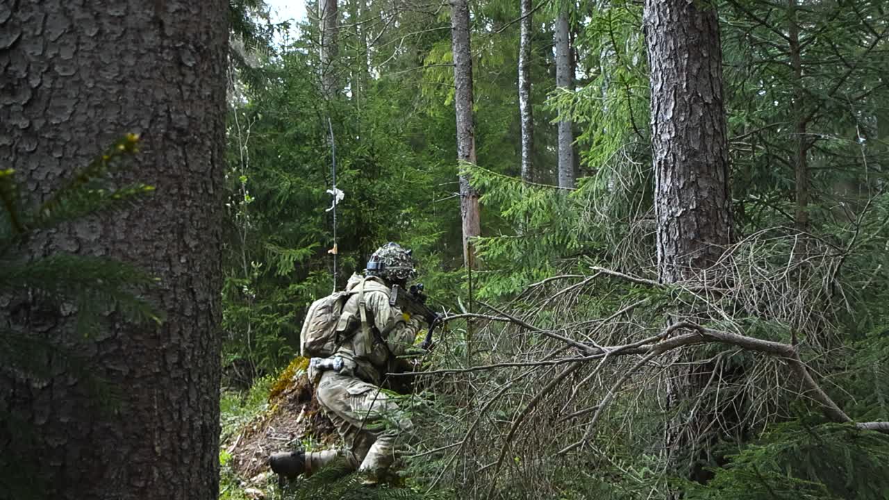 Rare video of a British camouflaged soldier who has an armed automatic weapon hidden in a forest behind a tree during battle. Man is aiming and taking cover in a dense pine forest, cloudy day.