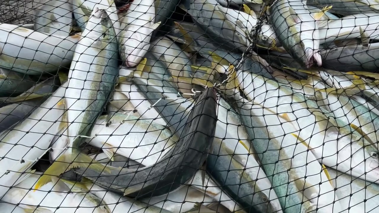 Pesca sulla costa dell'Africa meridionale