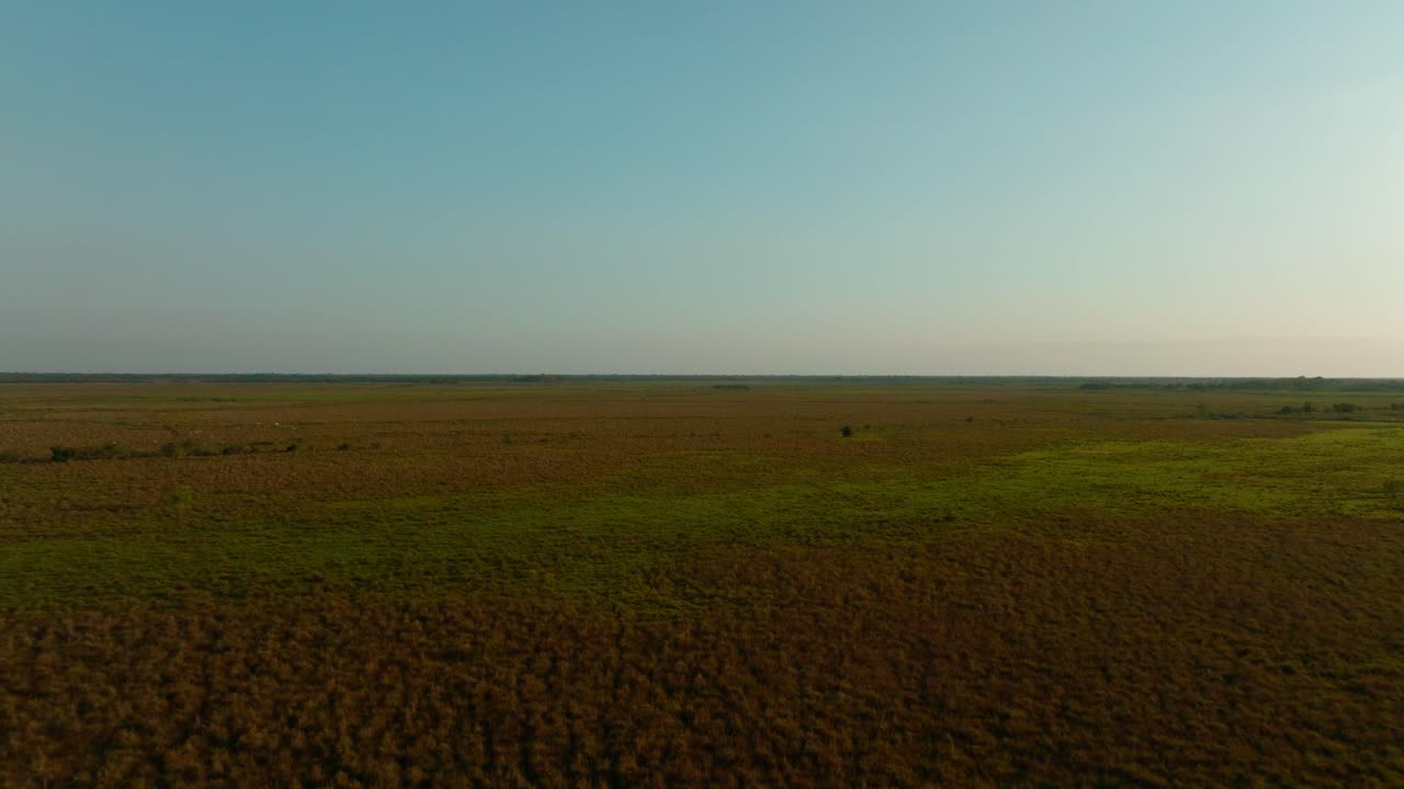 Aerial drone of Plains at Dawn, Travelling in, Arauca Colombia