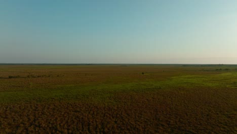 Drone-Aéreo-De-Llanuras-Al-Amanecer,-Viajando-En,-Arauca-Colombia