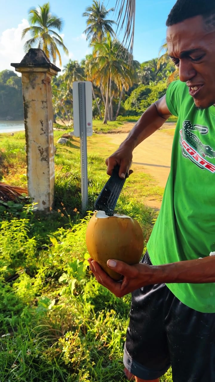 San Juan, Puerto Riko, 4 Agustus 2025: Kelapa segar dibuka di luar ruangan. Kelapa segar dibuka dengan tangan di lingkungan tropis luar ruangan