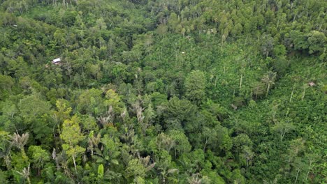 drone flying over small farm buildings in a tropical jungle valley