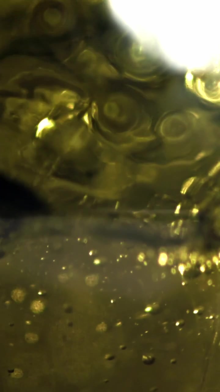 Vista macro di olio dorato che bolle con riflessi di luce