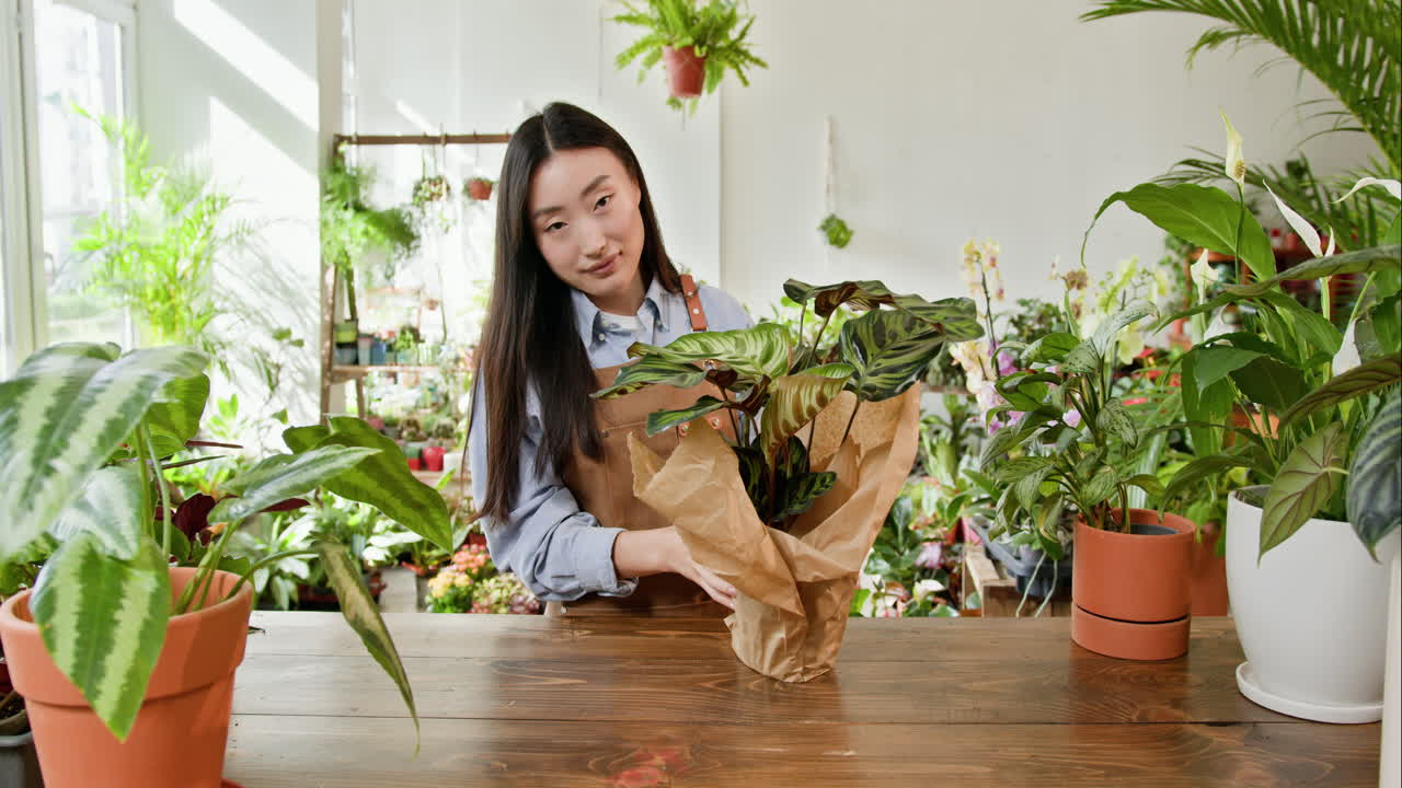 식물 가게 에서 인 식물 을 처리 하는 여자