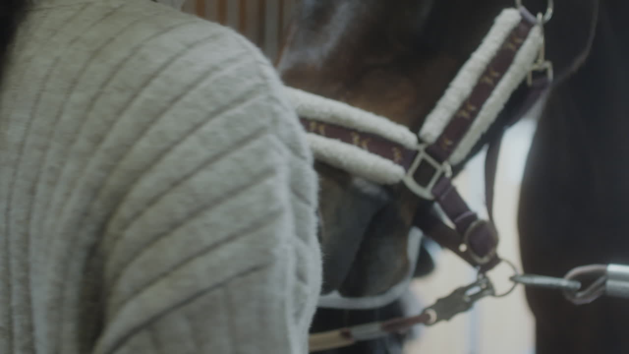 Woman bonding with horses in a stable