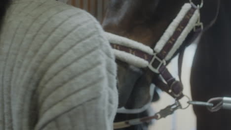 woman bonding with horses in a stable