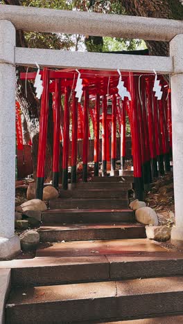 red torii gate at a japanese shrine