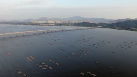 Hong-Kong-Shenzhen-Bay-Bridge-with-Tin-Shui-Wai-buildings-in-the-horizon-and-Fish-and-Oyster-cultivation-pools,-Aerial-view