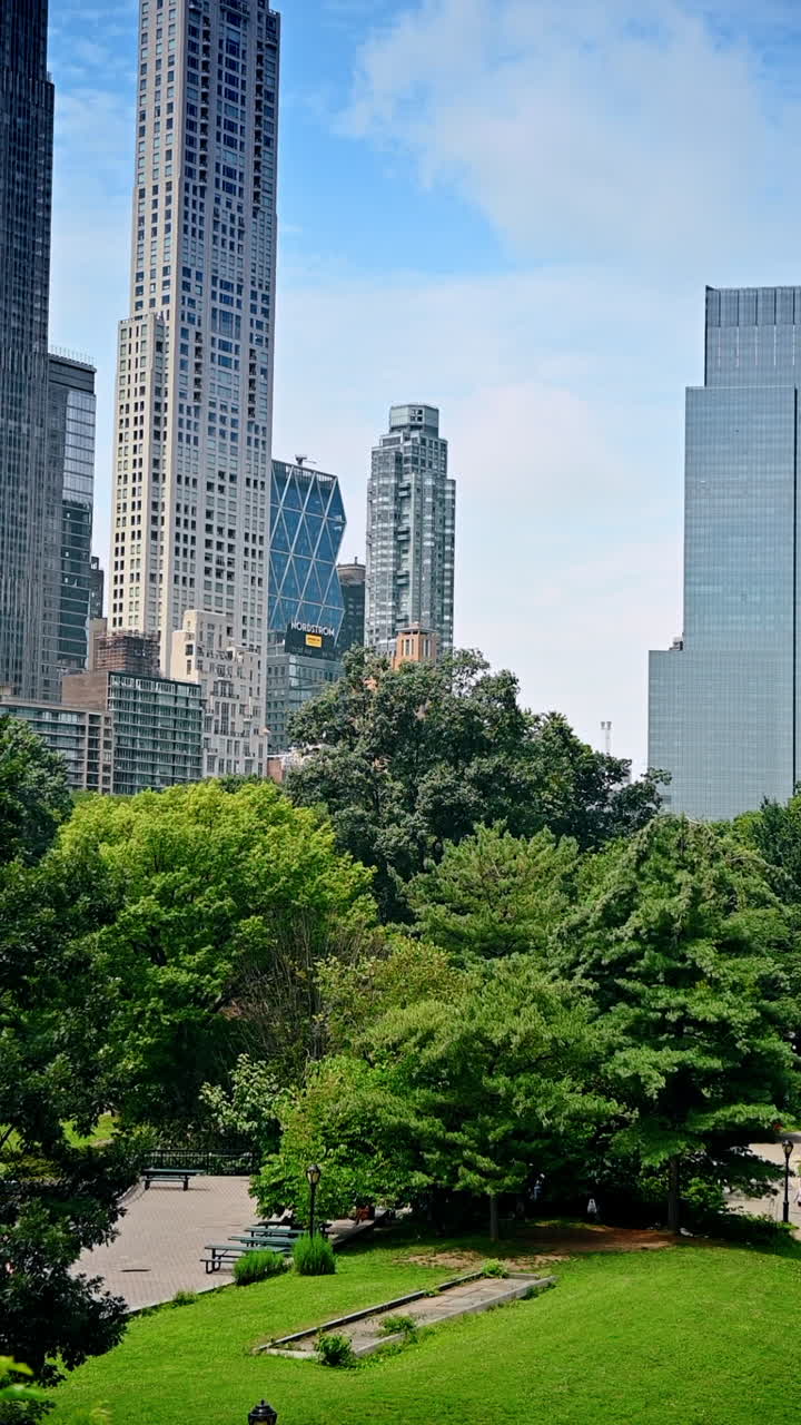 Arranha-céus impressionantes ao redor do parque, vistos de baixo. Vista das árvores que crescem no Central Park, Nova York, EUA. Vídeo vertical
