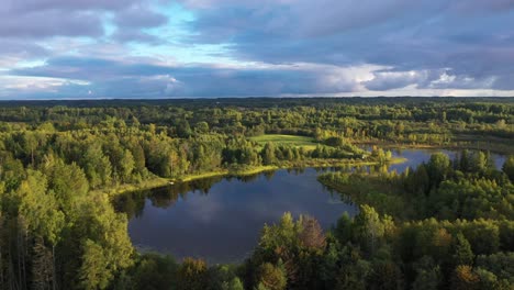 vast idyllic latvian strante lake woodland treetop greenery, aerial view flying over