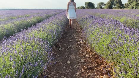 Mujer-Disfrutando-Del-Tiempo-Libre-En-El-Campo-En-Un-Campo-De-Lavanda-Francés