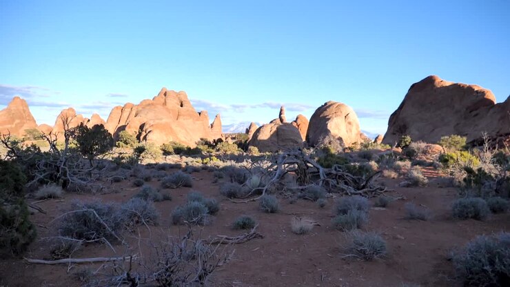 SLO MO walk through desert land with dry trees and big rocks