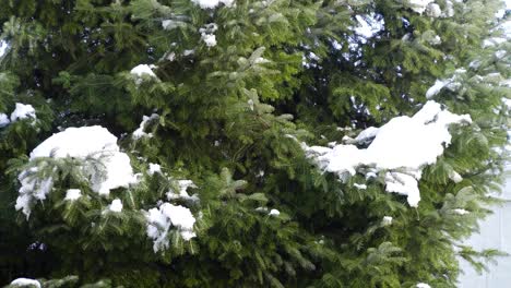 Lapso-De-Tiempo-De-Nieve-Derretida-A-Principios-De-Primavera