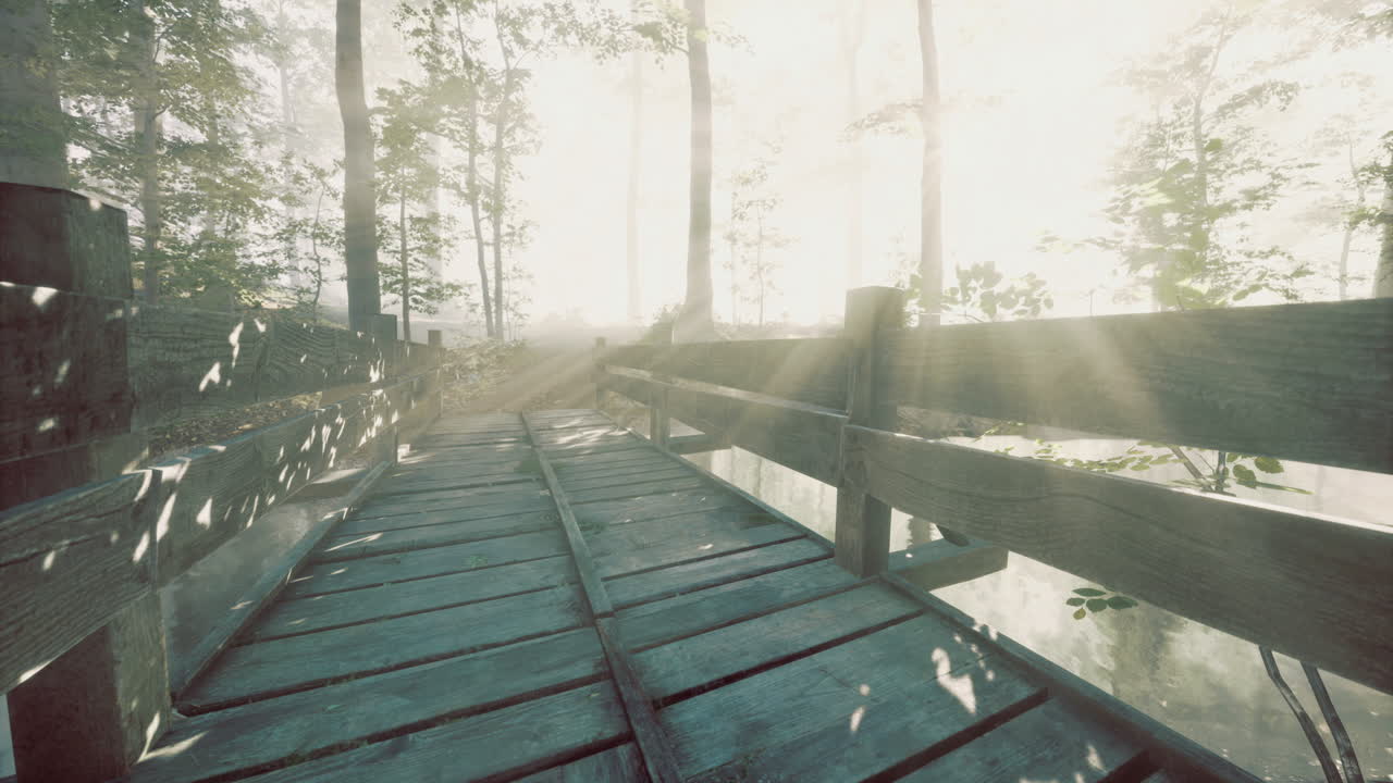 Misty morning walk on a wooden bridge in a serene forest setting