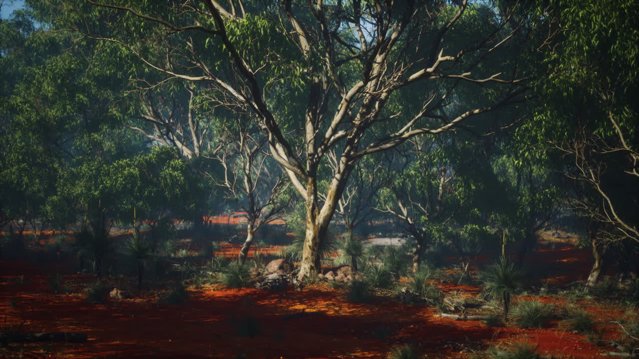 vegetación costera con árboles y arbustos