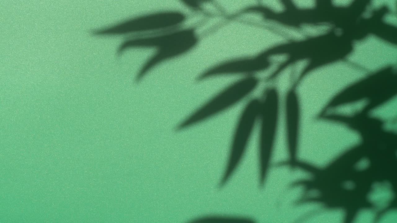 Abstract nature background of leaves shadow silhouette on wall moving by wind