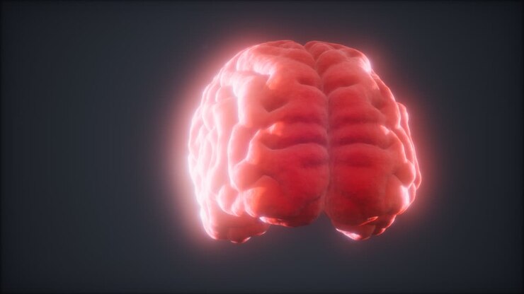 Loop Rotating Human Brain Animation