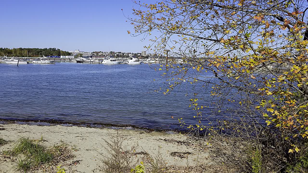 Soth Portland, Maine Marina as seen from Southern Maine Community College