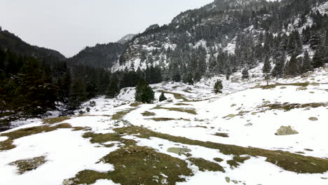 aerial view moving forward through the snowy valey in la llosa, la cerdanya