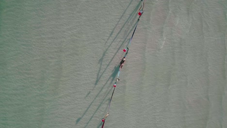 mujer extendiendo los brazos mientras se acuesta en hamacas holbox en el agua, de arriba hacia abajo