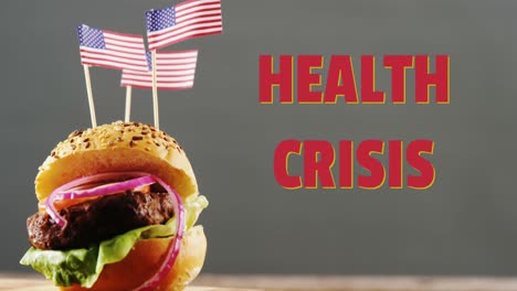 Health-Crisis-text-against-American-flags-on-burger-against-grey-background