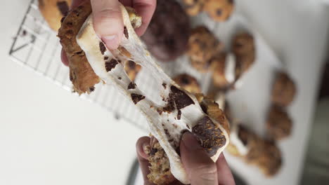 manos rompiendo un trozo de galleta s'more horneada con malvavisco derretido pegajoso en la parte superior