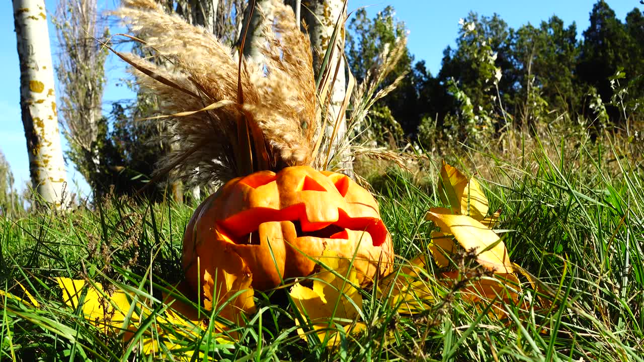 Strašidelná halloweenská dýně. Snímek z října.