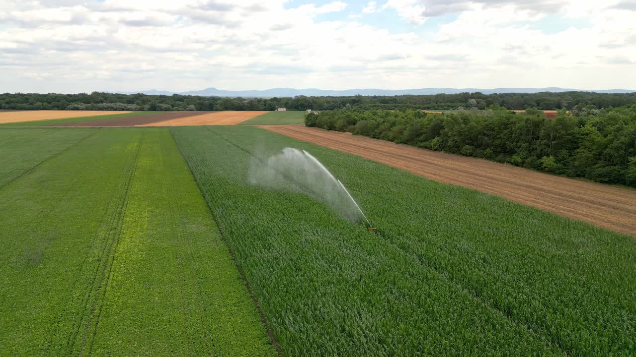 vista aérea de la pulverización de agua en los campos de cultivos agrícolas en marchfeld, austria