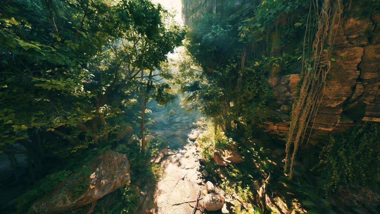 el misterioso camino del cañón de la jungla