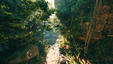 mysterious jungle canyon path