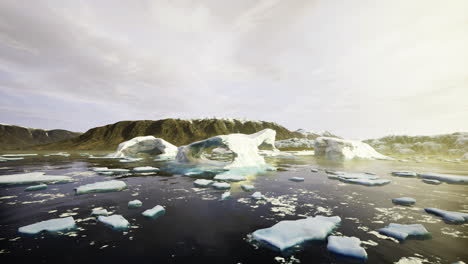 stunning icebergs and calm waters shape the arctic landscape