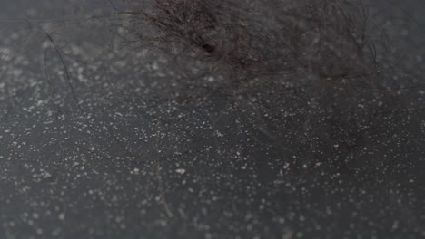 close-up view of hair and dust on a dark gray surface