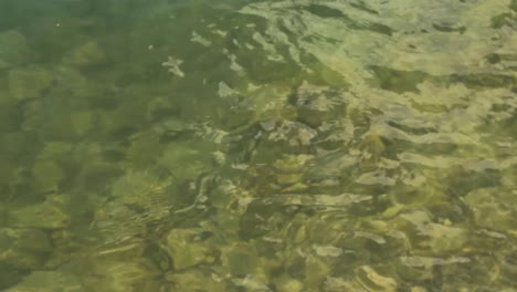 waves on the surface of the lake water