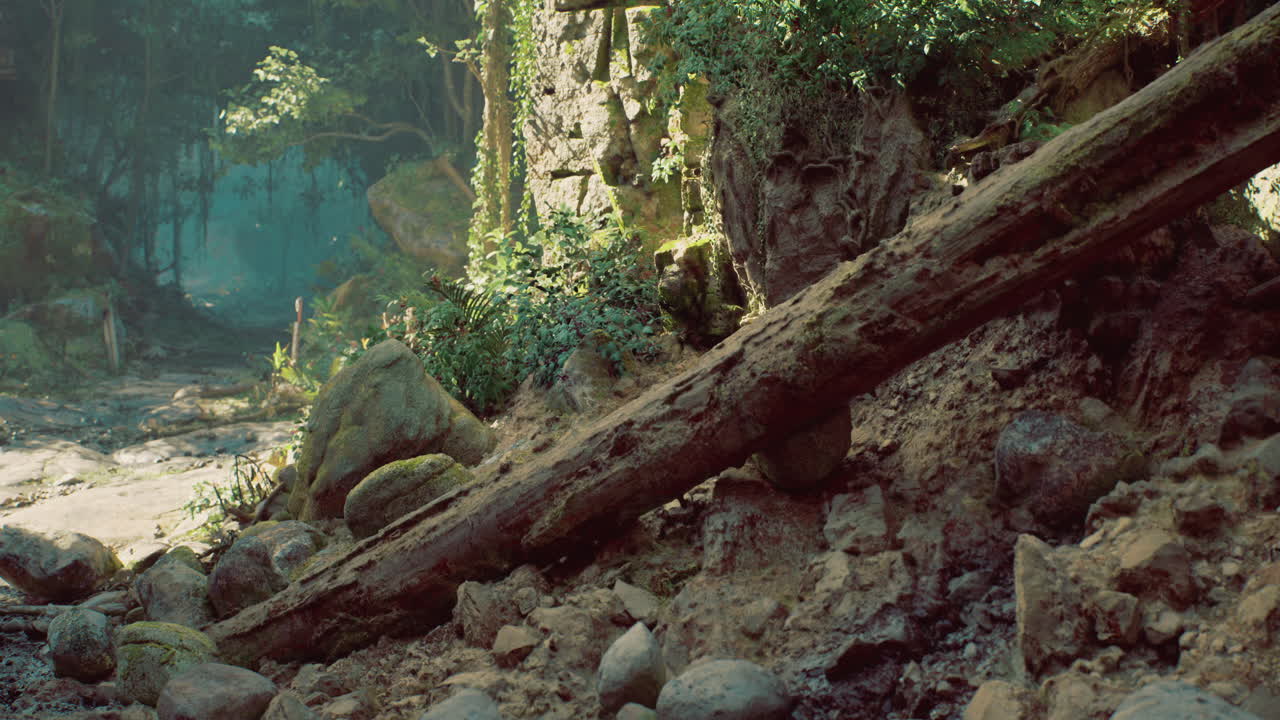 Serene forest landscape with moss covered rocks and fallen trees
