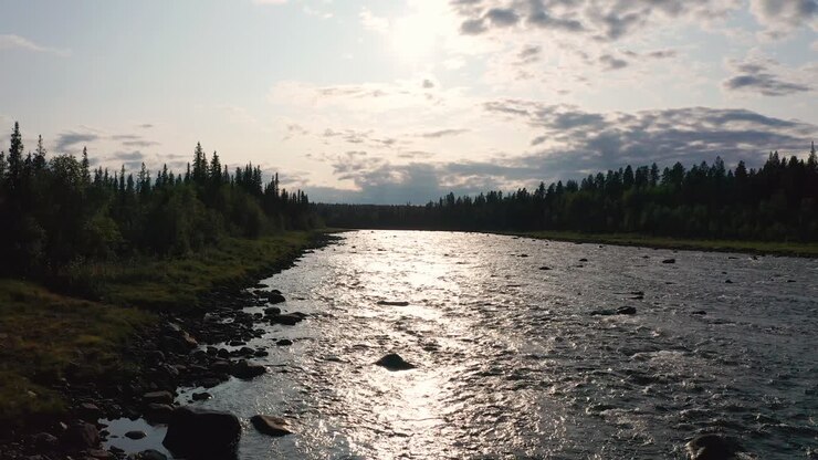 Drone shot of wild river in northern Sweden surrounded by deep forest
