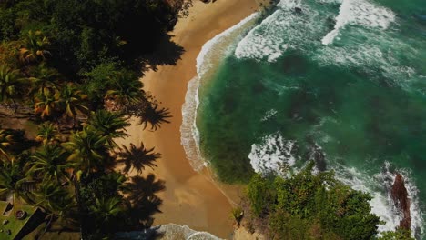 Una-Pintoresca-Playa-De-La-Costa-Norte-Bordeada-De-Cocoteros