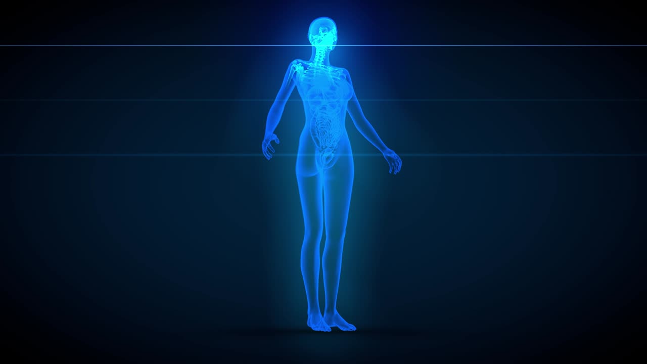 3 diferentes animaciones de bucle sin costuras 3d en 1, cuerpo femenino - escaneo de rayos x con órganos y esqueleto, ilustración fisiológica - 4k 60fps uhd