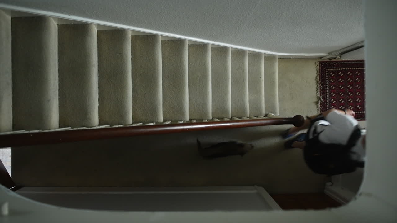 Top down view of stairwell and man with backpack exiting a building and leaving dog at home all day